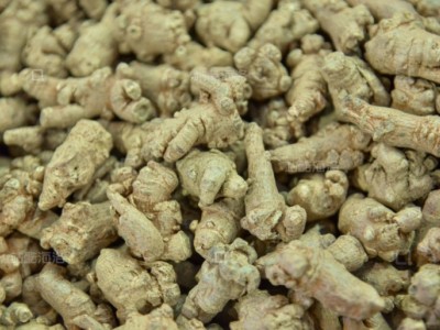 中国传统中药饮片药材三七